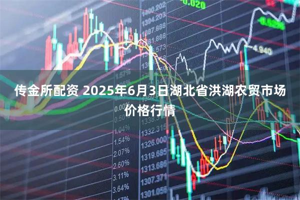 传金所配资 2025年6月3日湖北省洪湖农贸市场价格行情