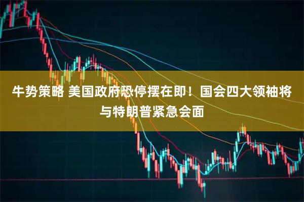 牛势策略 美国政府恐停摆在即！国会四大领袖将与特朗普紧急会面