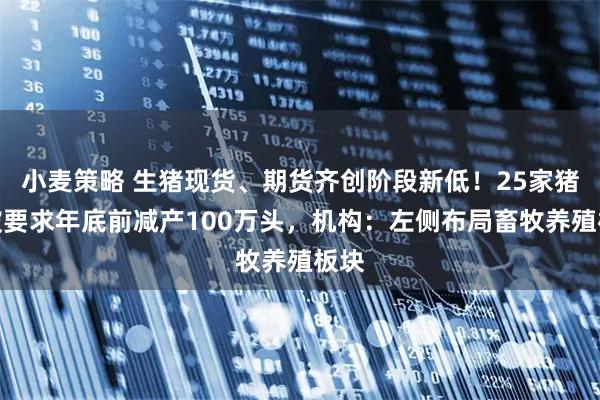 小麦策略 生猪现货、期货齐创阶段新低！25家猪企被要求年底前减产100万头，机构：左侧布局畜牧养殖板块