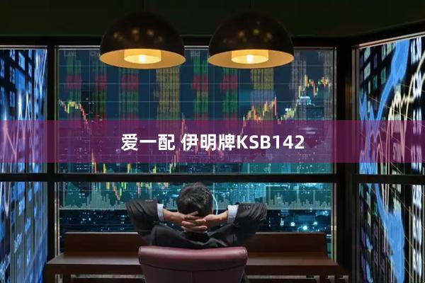 爱一配 伊明牌KSB142