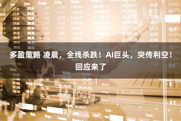 多盈策略 凌晨，全线杀跌！AI巨头，突传利空！回应来了