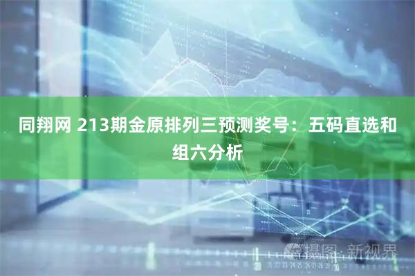 同翔网 213期金原排列三预测奖号：五码直选和组六分析
